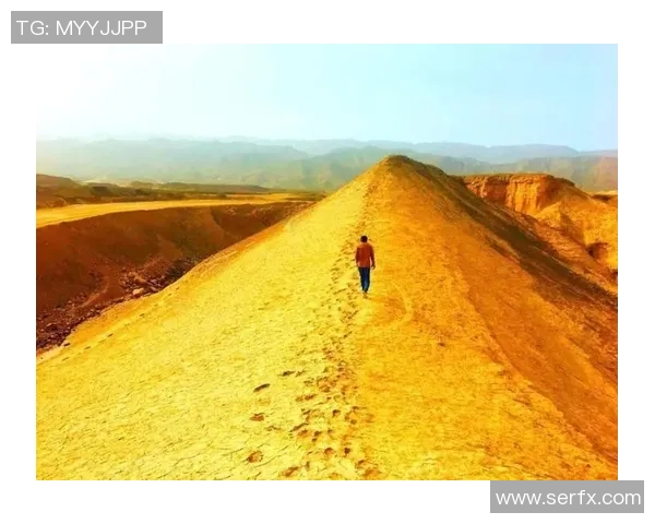 赛阿拉与巴竞技的巅峰对决谁将书写新篇章